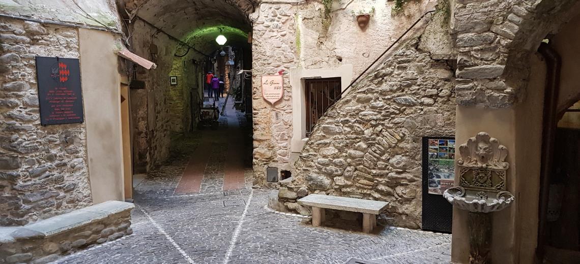 Visit Dolceacqua and taste the typical wine with our tour