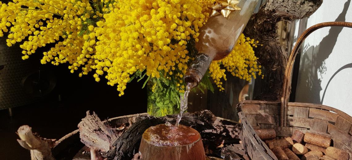 Visita Dolceacqua e degusta il tipico vino con il nostro tour