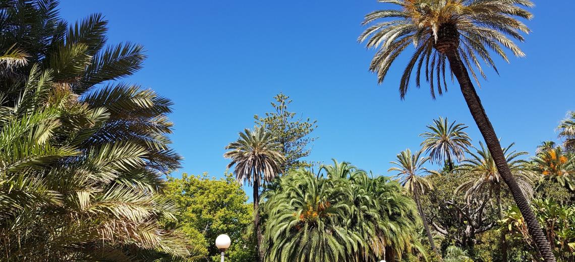 Villas and magnificent gardens in Sanremo: Discover them with our tour