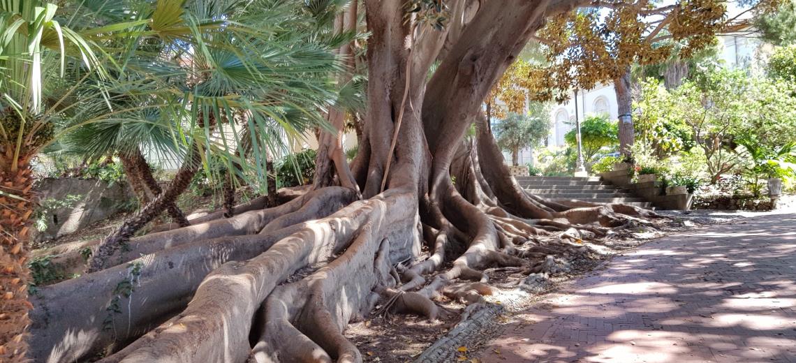 Villas and magnificent gardens in Sanremo: Discover them with our tour