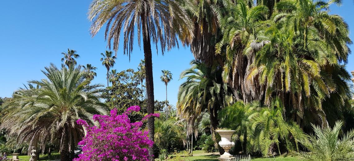 Villas and magnificent gardens in Sanremo: Discover them with our tour