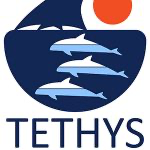 The logo is shown in the image.